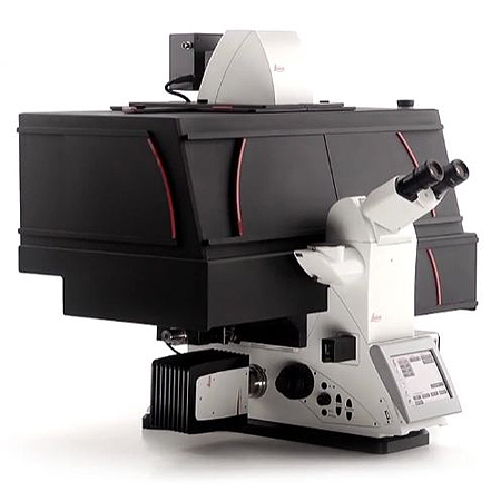 Инвертированный микроскоп Leica DMi8 for Live Cell Imaging Инвертированный микроскоп Leica DMi8 for Live Cell Imaging