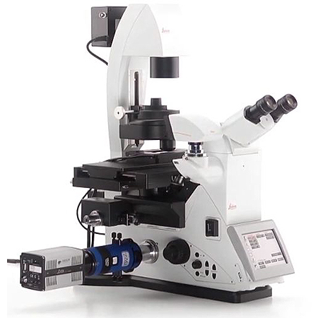 Инвертированный микроскоп Leica DMi8 for Advanced Imaging Инвертированный микроскоп Leica DMi8 for Advanced Imaging