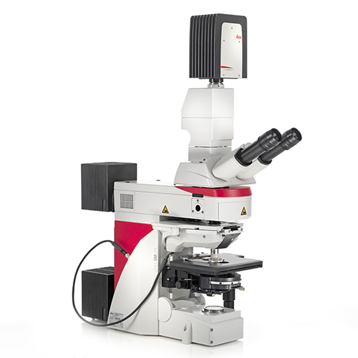 Микроскоп для электрофизиологии Leica DM6 FS Микроскоп для электрофизиологии Leica DM6 FS